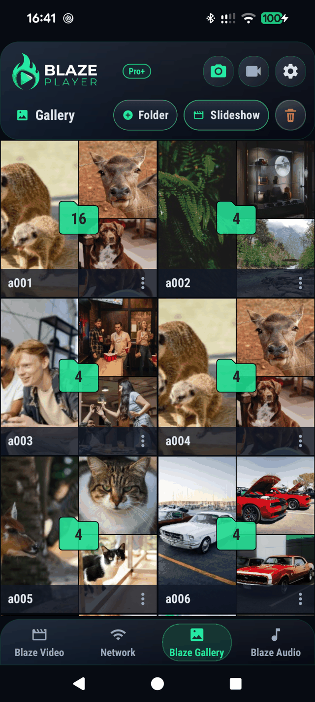 Capture Blaze Gallery avec grille de dossiers et photos
